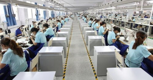 2022年河南电子商务运行呈稳定增长态势，经营额达12122.45亿元