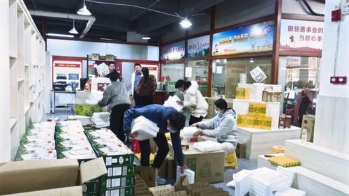 广东南雄 培育壮大农村电商经营主体，激活乡村振兴新动能