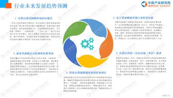 2019年中国电子商务行业 发展现状、经营格局与未来前景