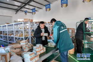 打造产业园区，赋能农产品销售，构建电子商务新生态